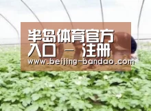 种植基地三