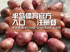产品展示标题5(图1)